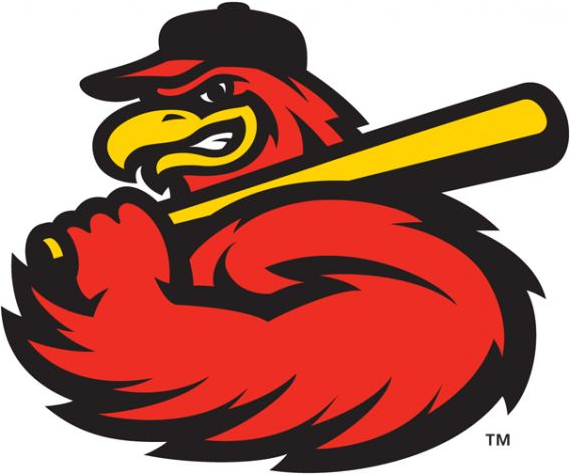 Rochester Red Wings 2014-Pres Alternate Logo iron on transfers for clothing